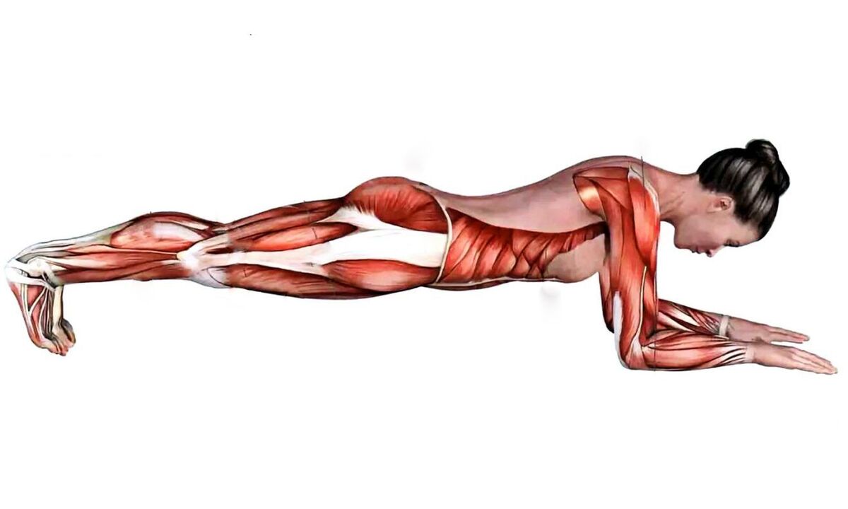 quels muscles travaillent sur la planche